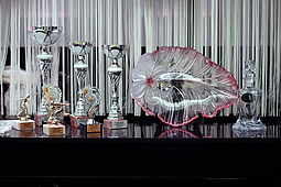 Political and non-governmental youth organisations bowling tournament.