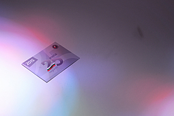 Political and non-governmental youth organisations bowling tournament.